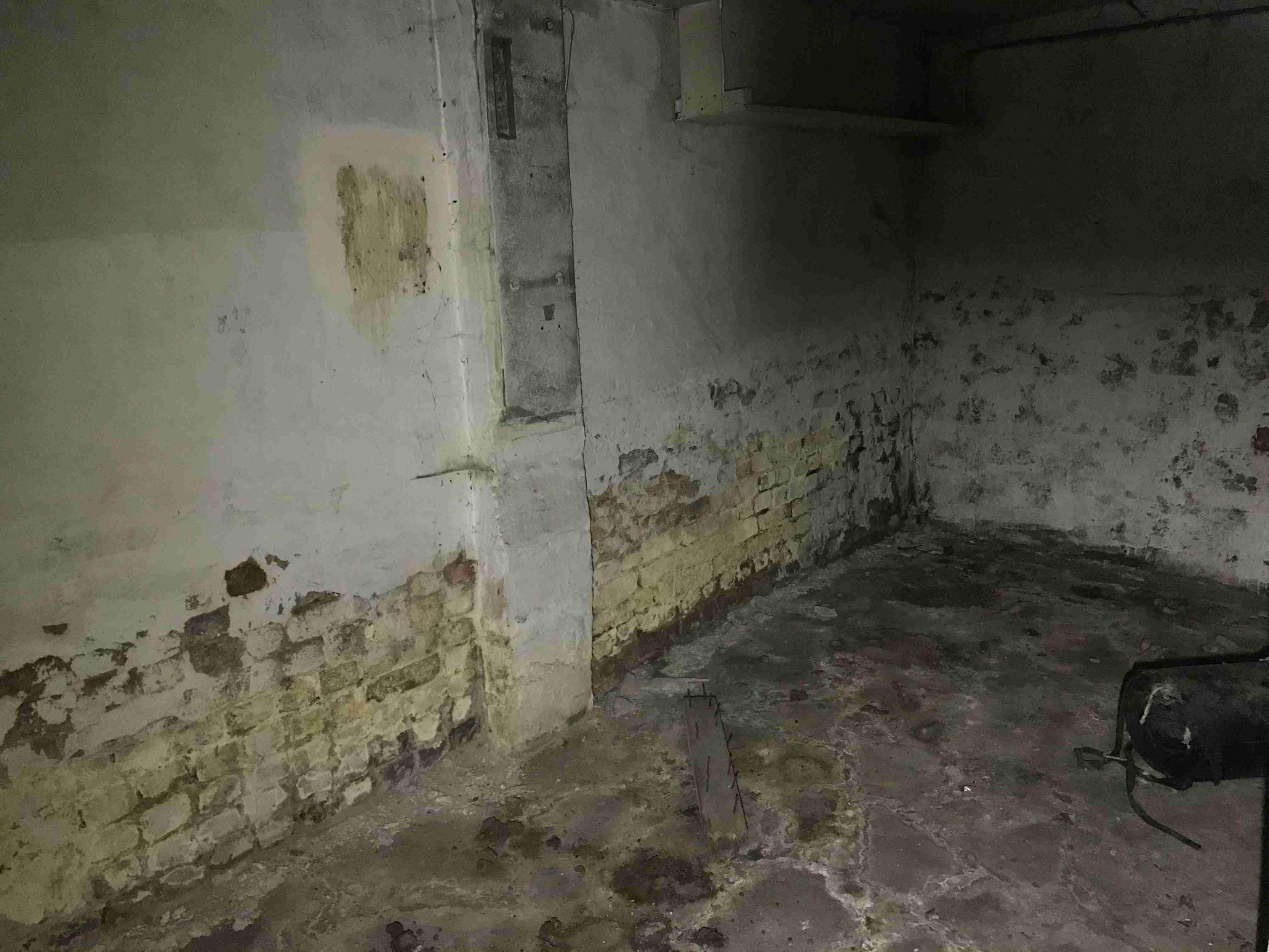 Photo Oct 13, 11 43 57 AM.jpg